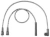 BERU C4 Ignition Cable Kit